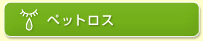 ybgX