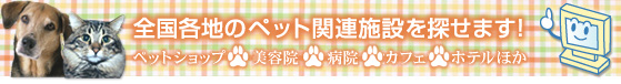 Señybg֘AT[rXT܂IybgVbvAbEa@AybgTEeAybgzeAybgJtFAybgՁEE쉀Aق